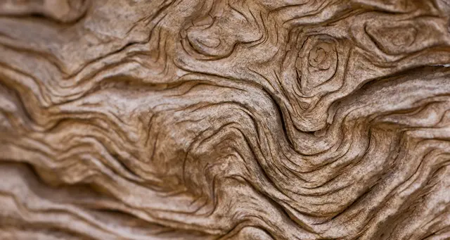 Detailed organic wood grain with natural patterns, representing the depth of individual therapy in California.